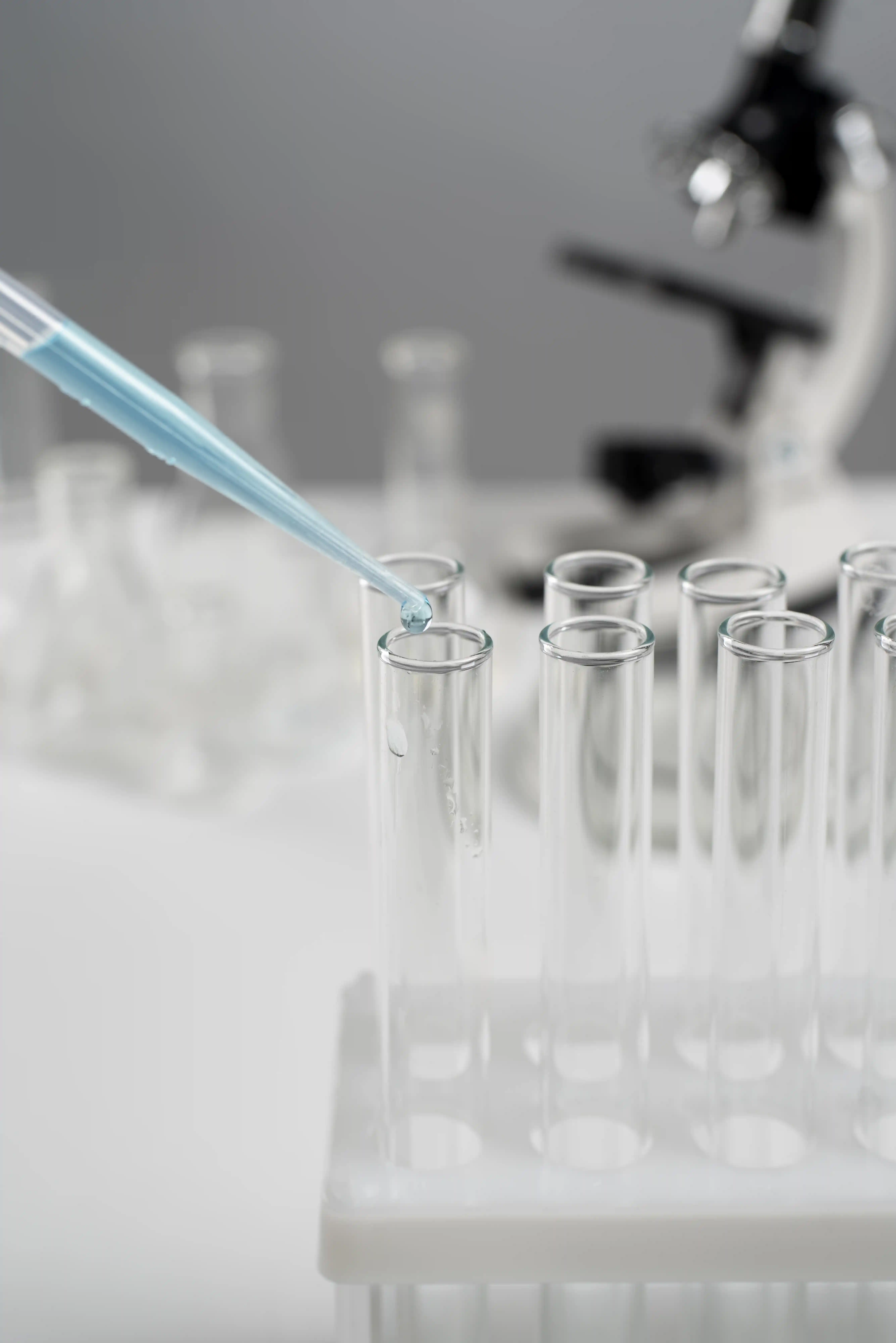 Laboratorio